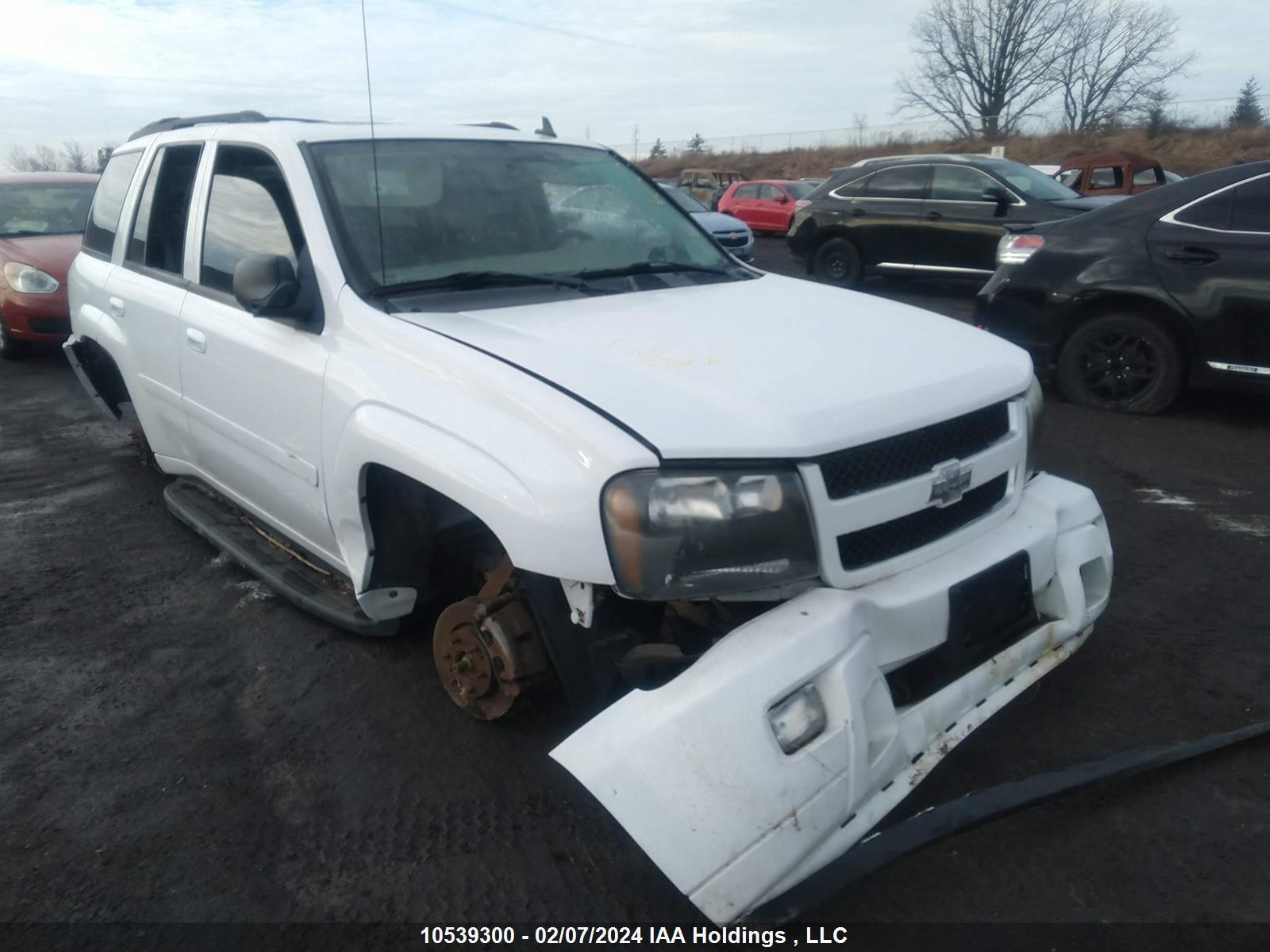 CHEVROLET TRAILBLAZER 2008 1gndt13s282246857