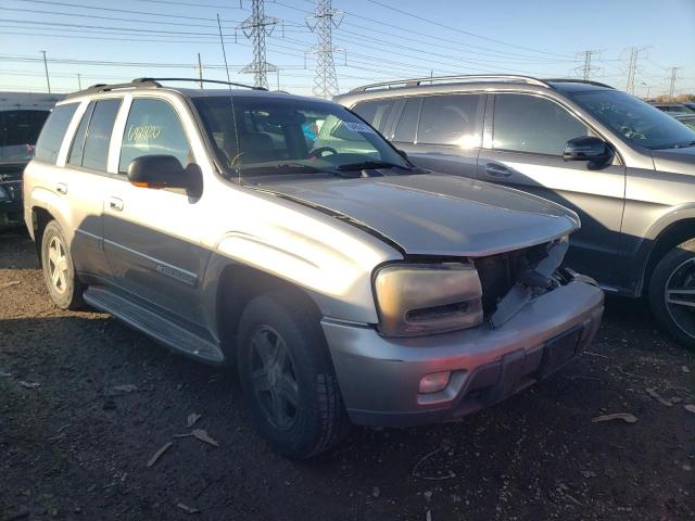 CHEVROLET TRAILBLAZE 2002 1gndt13s322480027