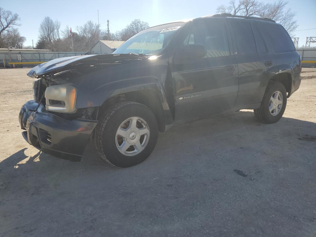 CHEVROLET TRAILBLAZER 2003 1gndt13s332342747