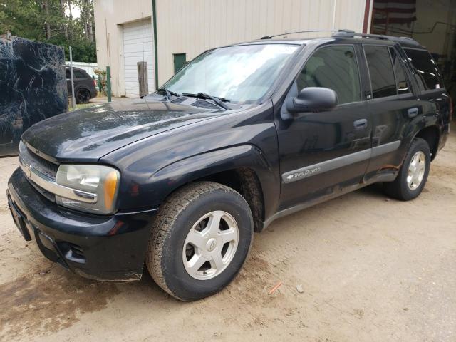 CHEVROLET TRAILBLZR 2003 1gndt13s332391012