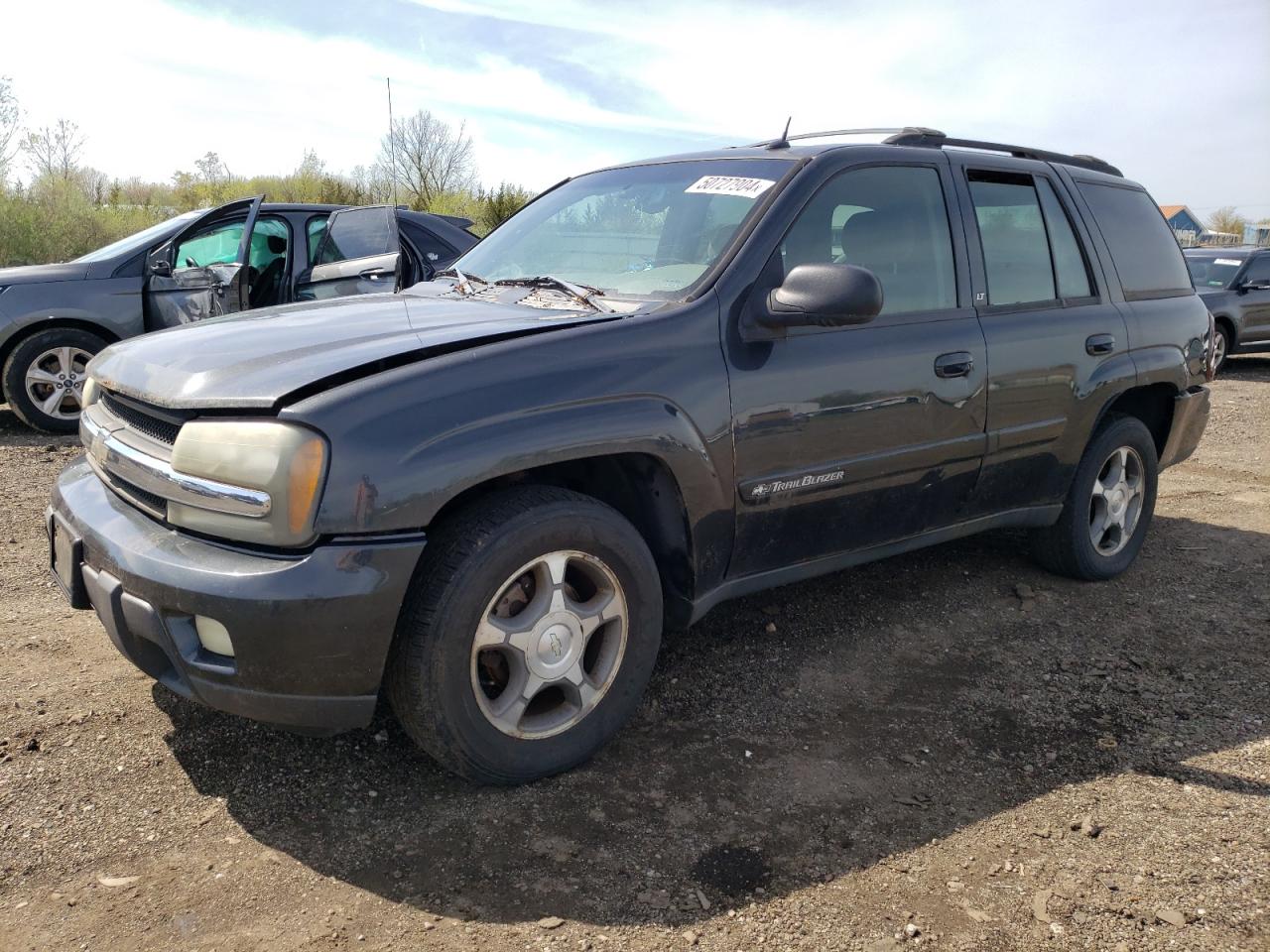 CHEVROLET TRAILBLAZER 2004 1gndt13s342113857