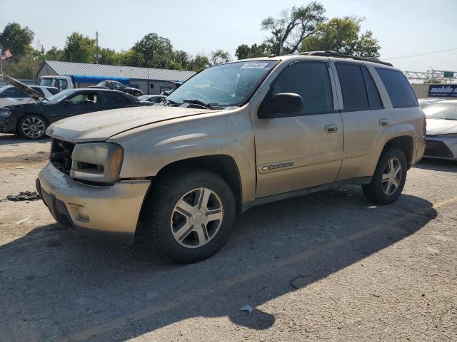 CHEVROLET TRAILBLAZE 2004 1gndt13s342208841