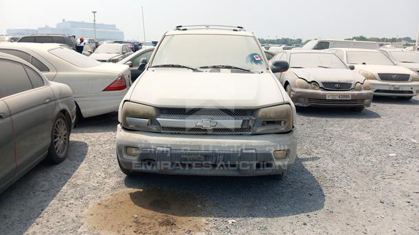 CHEVROLET TRAILBLAZER 2004 1gndt13s342352244