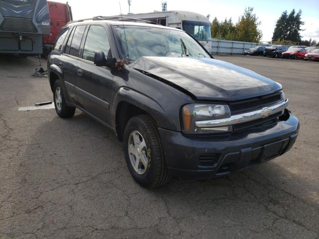 CHEVROLET TRAILBLAZE 2005 1gndt13s352209604