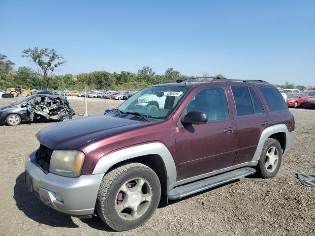 CHEVROLET TRAILBLAZE 2006 1gndt13s362116292