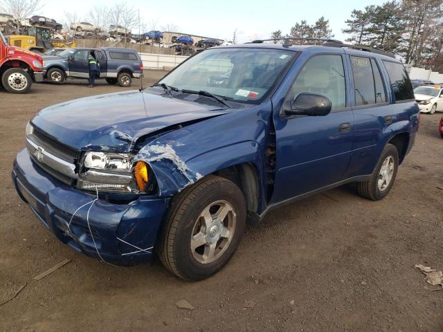 CHEVROLET TRAILBLZR 2006 1gndt13s362136638