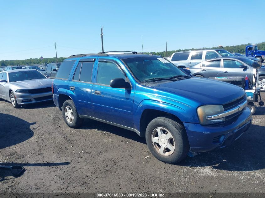 CHEVROLET TRAILBLAZER 2006 1gndt13s362164309