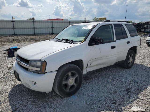 CHEVROLET TRAILBLZR 2006 1gndt13s362358631