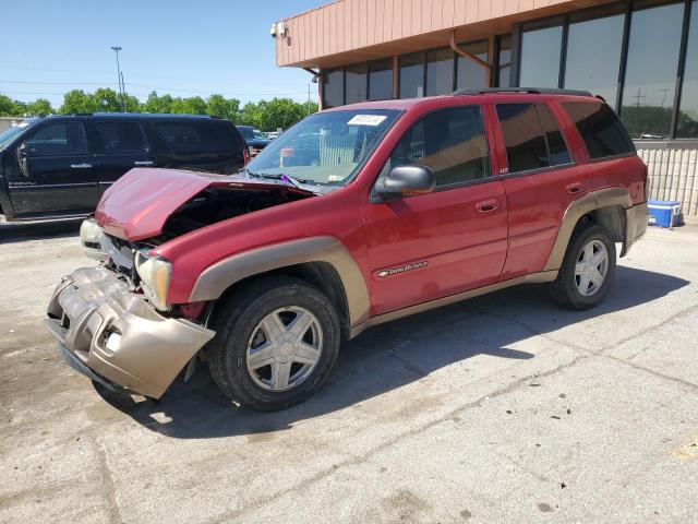 CHEVROLET TRAILBLZR 2002 1gndt13s422224849