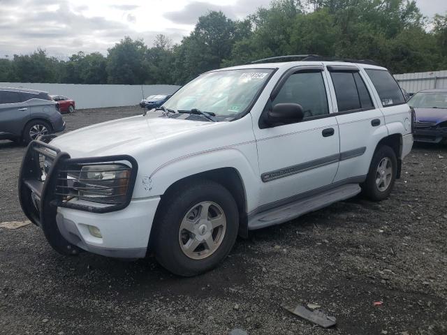 CHEVROLET TRAILBLAZE 2002 1gndt13s422494809