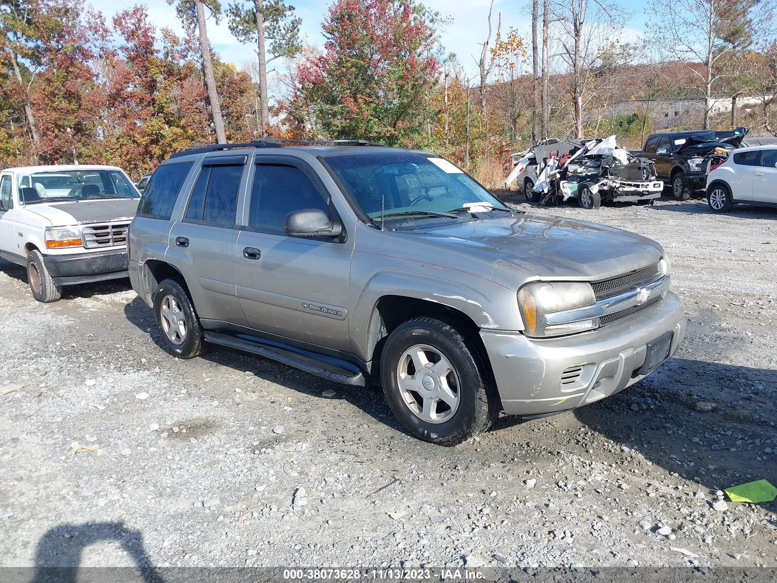 CHEVROLET TRAILBLAZER 2002 1gndt13s422525654