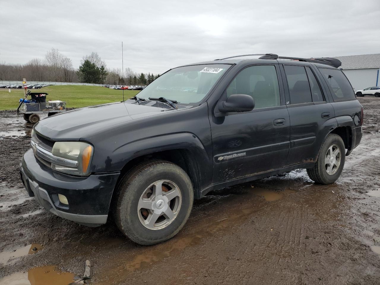 CHEVROLET TRAILBLAZER 2003 1gndt13s432333510