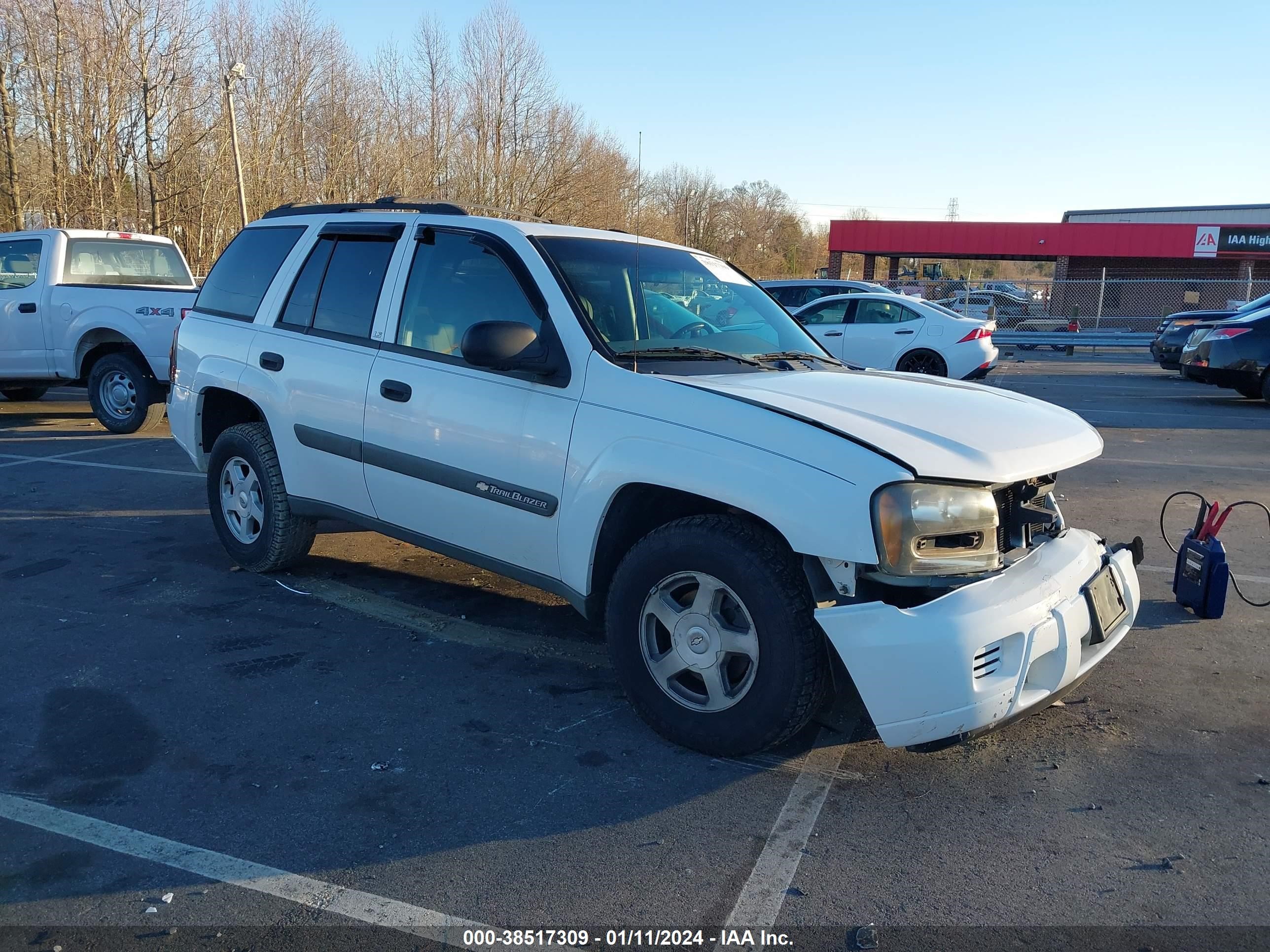 CHEVROLET TRAILBLAZER 2003 1gndt13s432346418