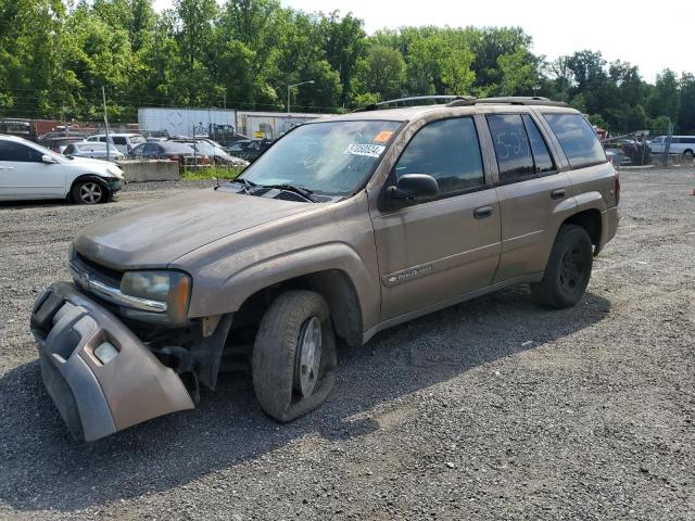 CHEVROLET TRAILBLZR 2003 1gndt13s432374638