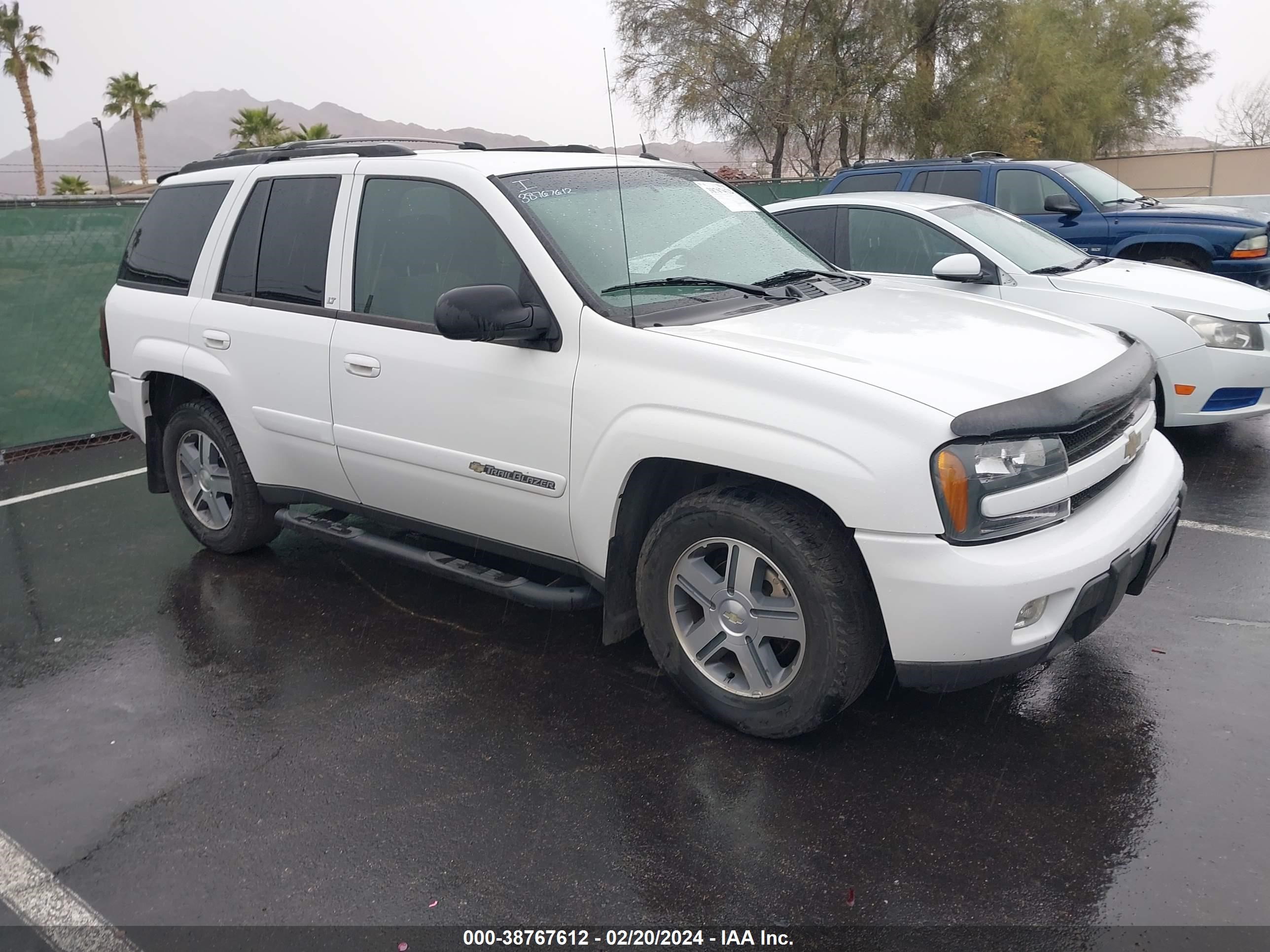 CHEVROLET TRAILBLAZER 2004 1gndt13s442198532