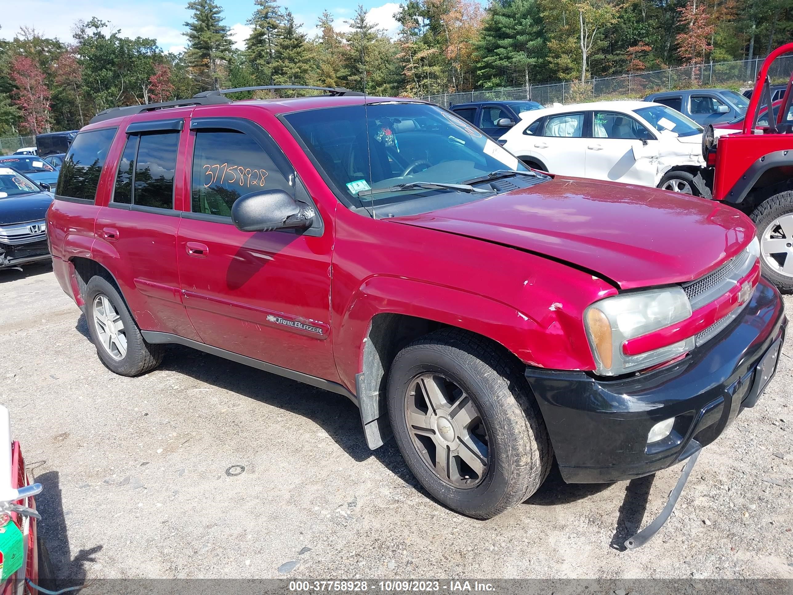 CHEVROLET TRAILBLAZER 2004 1gndt13s442388301