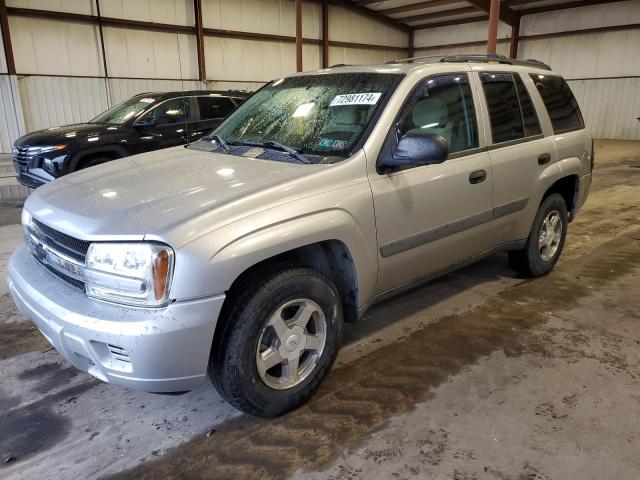 CHEVROLET TRAILBLAZE 2005 1gndt13s452223947