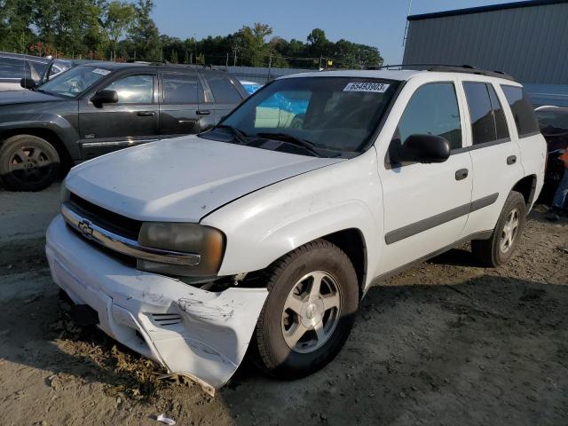 CHEVROLET TRAILBLAZE 2005 1gndt13s452350553