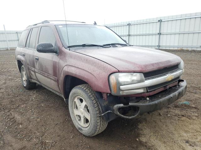 CHEVROLET TRAILBLAZE 2006 1gndt13s462138172