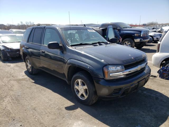 CHEVROLET TRAILBLAZE 2006 1gndt13s462190370