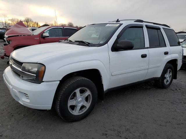 CHEVROLET TRAILBLZR 2006 1gndt13s462217860