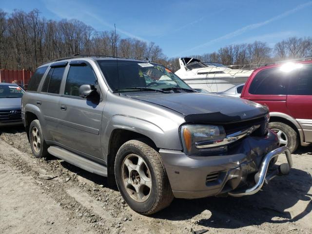 CHEVROLET TRAILBLAZE 2006 1gndt13s462348612