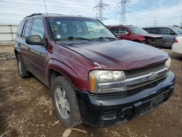 CHEVROLET TRAILBLAZE 2006 1gndt13s462358959