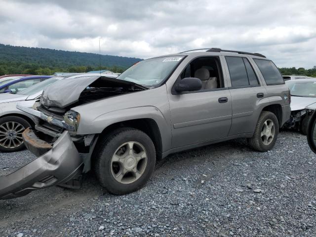 CHEVROLET TRAILBLAZE 2006 1gndt13s462358962