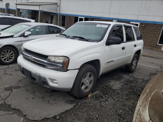 CHEVROLET TRAILBLAZE 2003 1gndt13s532253276