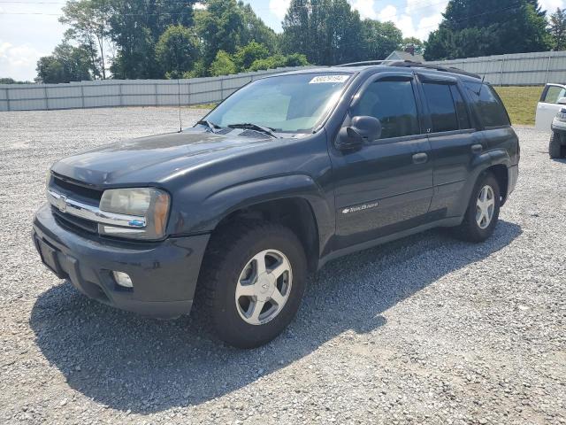 CHEVROLET TRAILBLAZE 2003 1gndt13s532273639