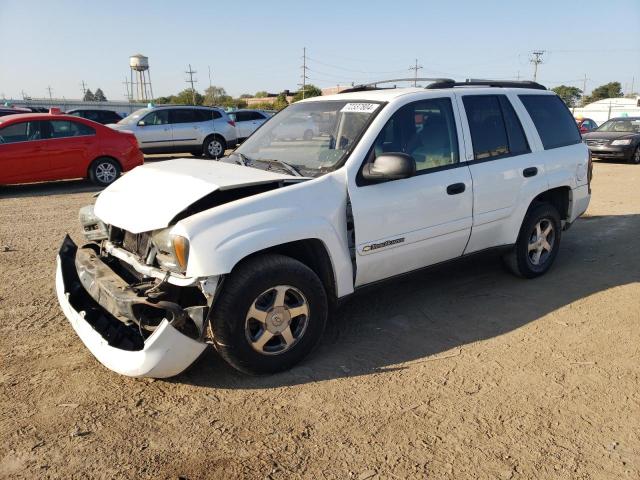 CHEVROLET TRAILBLAZE 2003 1gndt13s532340904