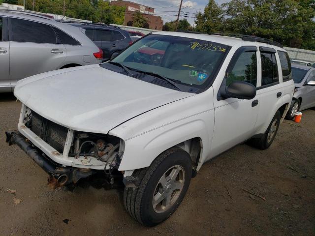 CHEVROLET TRAILBLAZE 2006 1gndt13s562118335