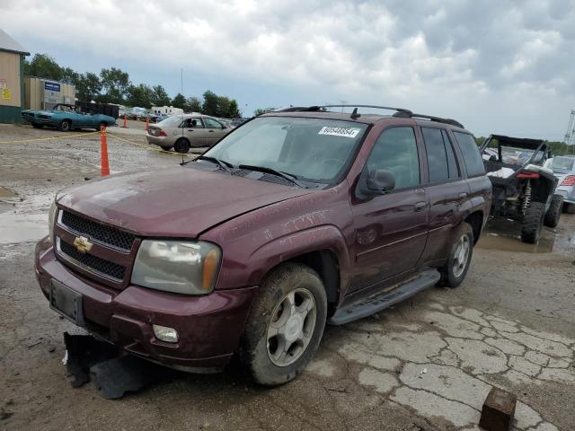 CHEVROLET TRAILBLZR 2006 1gndt13s562224011