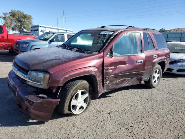 CHEVROLET TRAILBLZR 2006 1gndt13s562232058