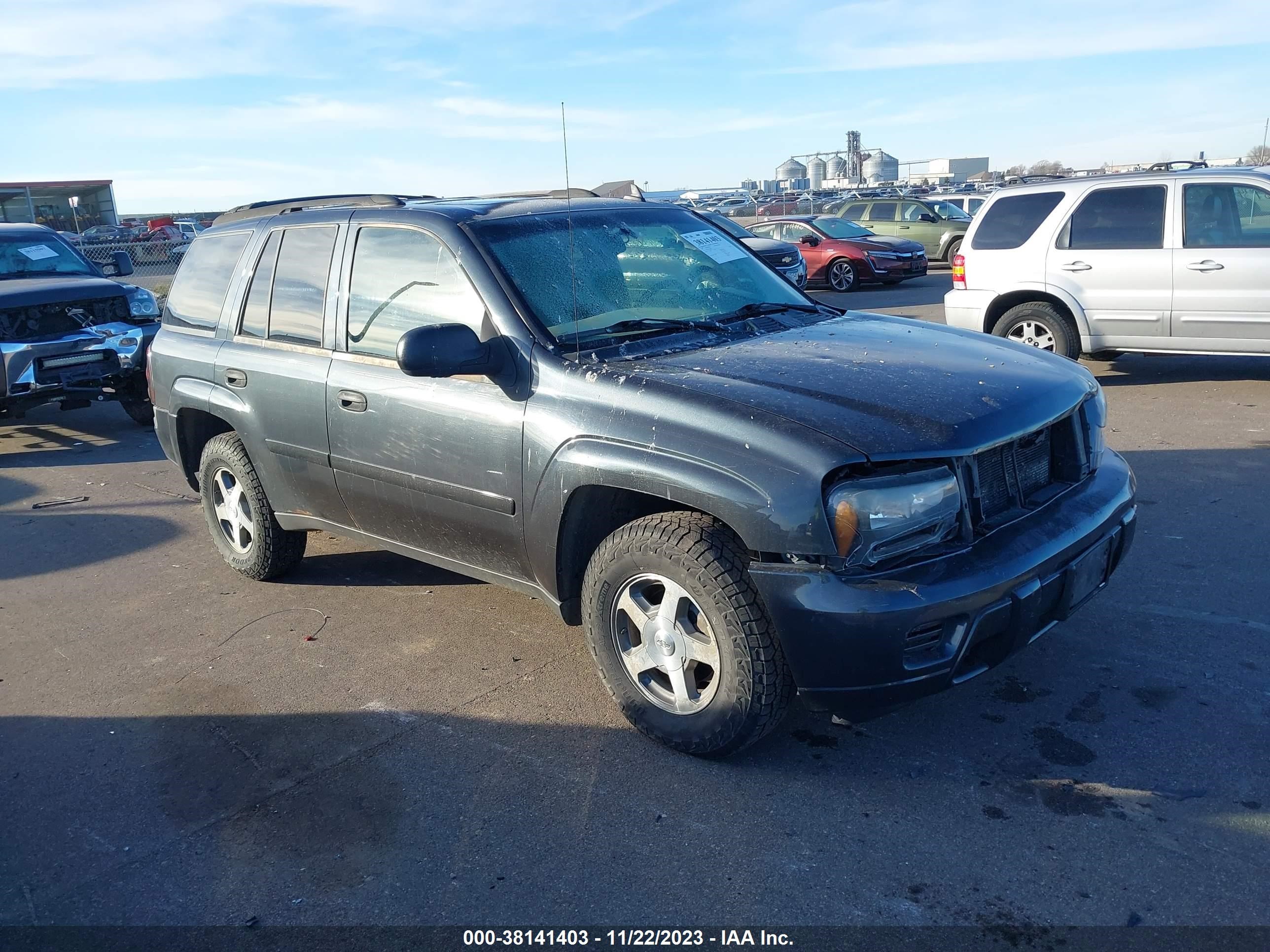 CHEVROLET TRAILBLAZER 2006 1gndt13s562266663