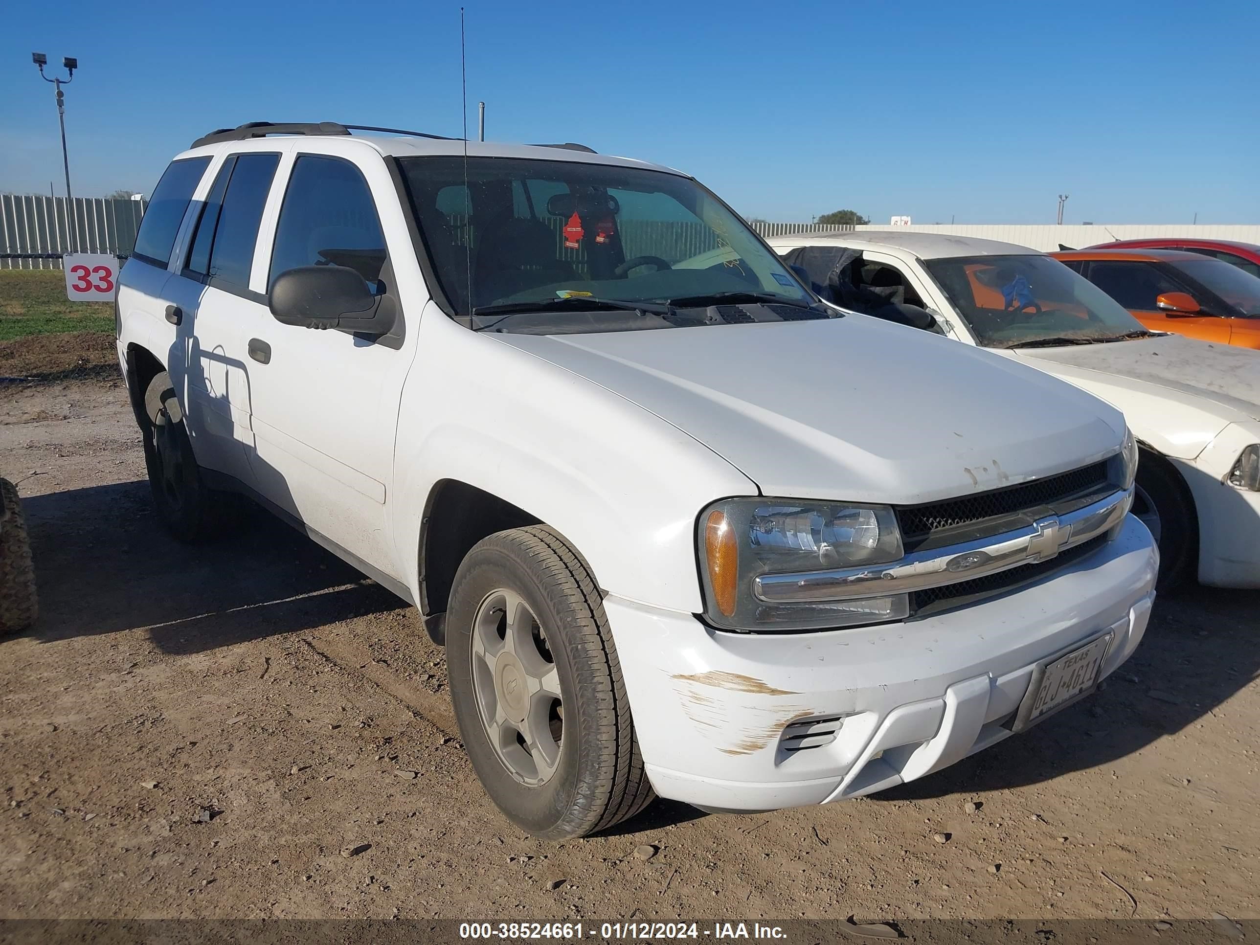 CHEVROLET TRAILBLAZER 2006 1gndt13s562331463