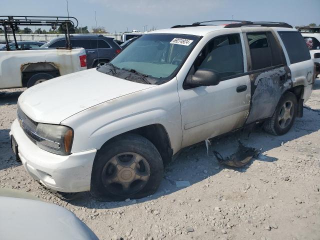 CHEVROLET TRAILBLAZE 2006 1gndt13s562344942