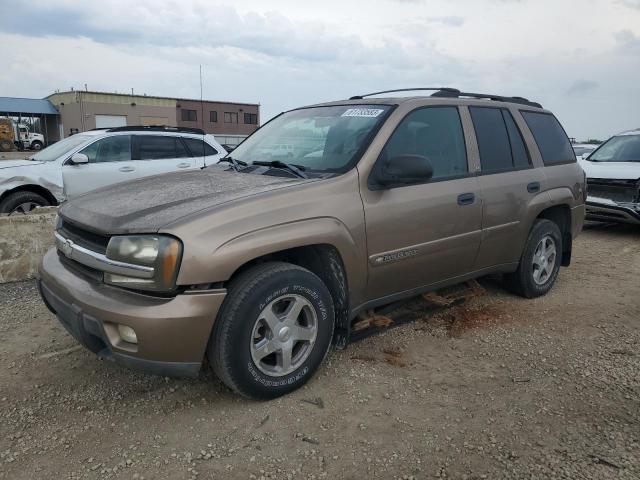 CHEVROLET TRAILBLAZE 2003 1gndt13s632190236