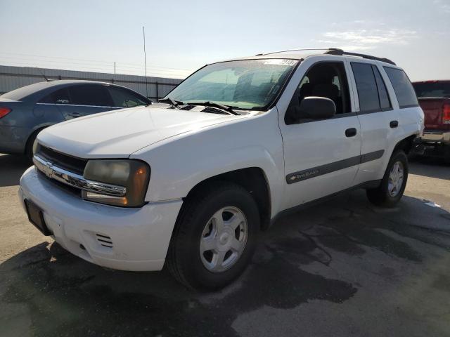 CHEVROLET TRAILBLAZE 2003 1gndt13s632264433