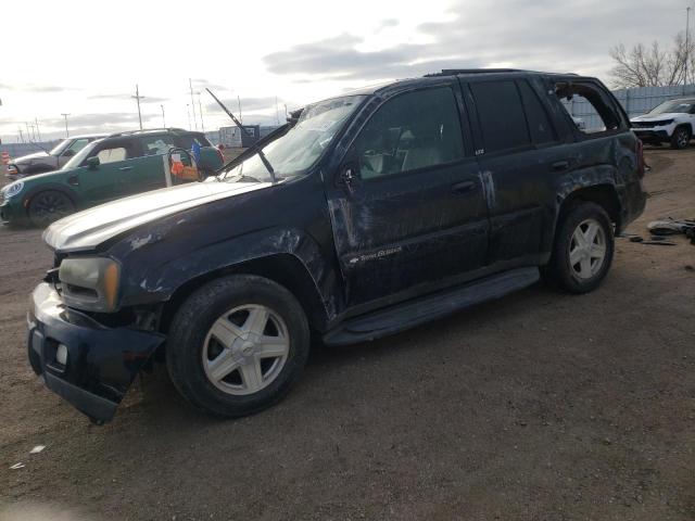 CHEVROLET TRAILBLZR 2003 1gndt13s632286366