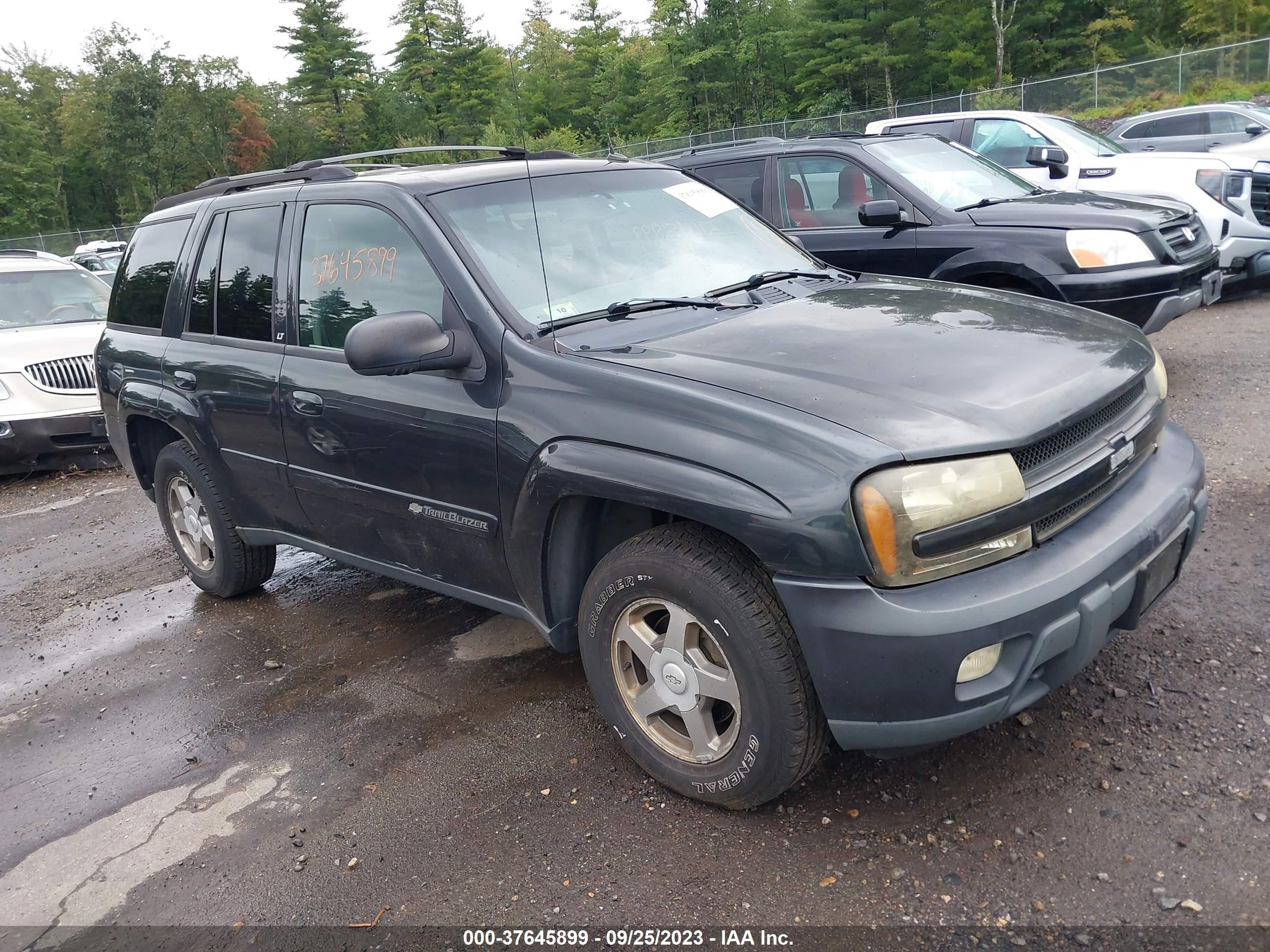 CHEVROLET TRAILBLAZER 2004 1gndt13s642125243