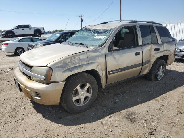 CHEVROLET TRAILBLAZE 2004 1gndt13s642173132