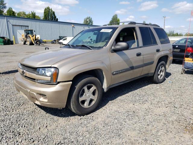 CHEVROLET TRAILBLZR 2004 1gndt13s642435960