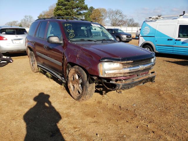 CHEVROLET TRAILBLAZE 2005 1gndt13s652347248