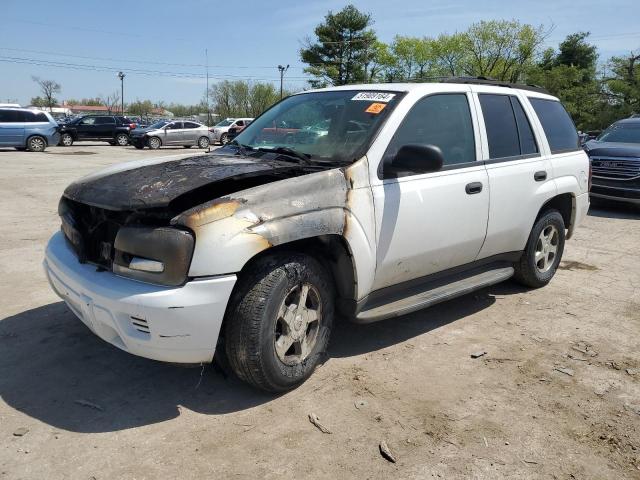 CHEVROLET TRAILBLZR 2006 1gndt13s662110843