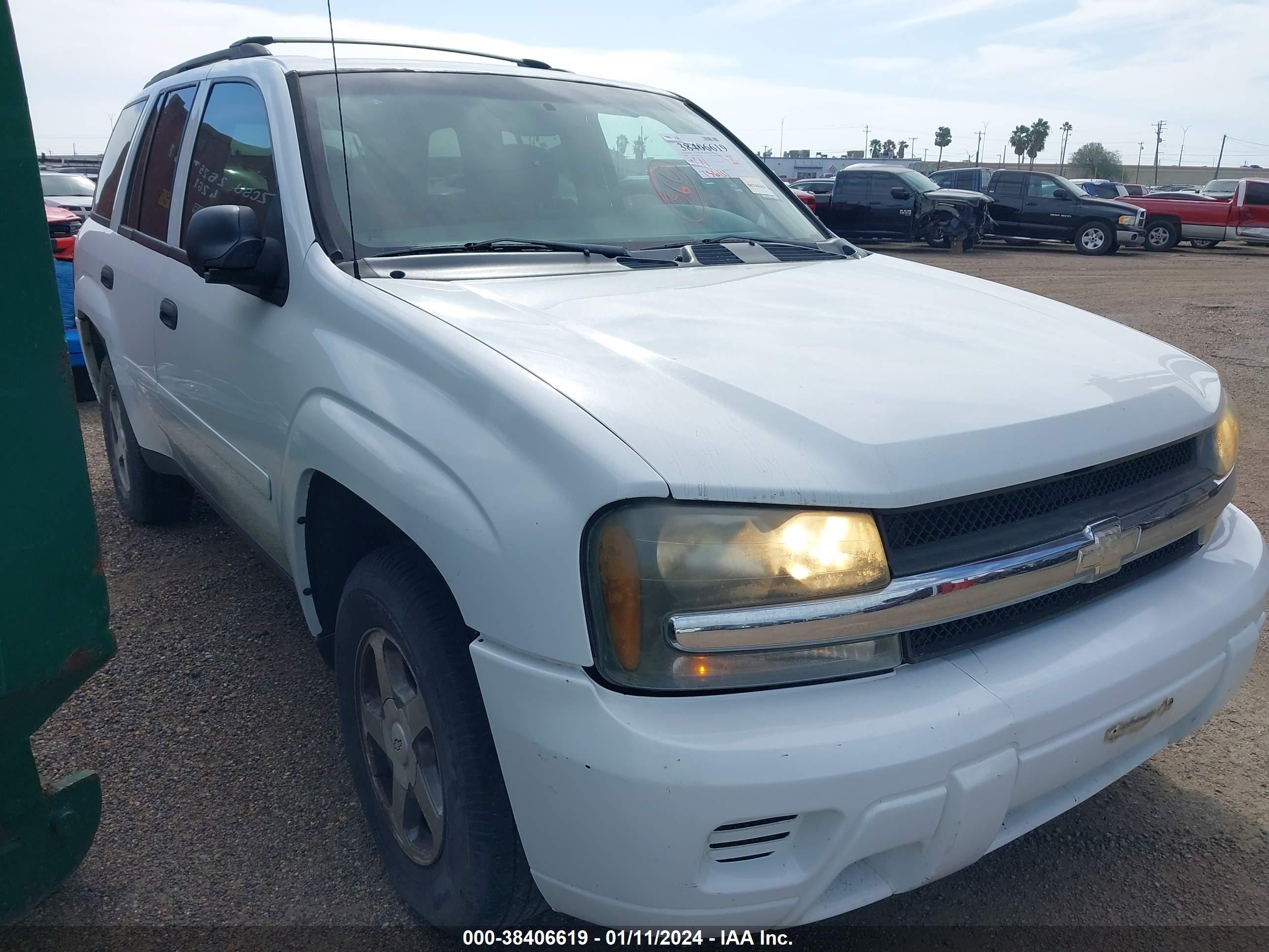 CHEVROLET TRAILBLAZER 2006 1gndt13s662170413