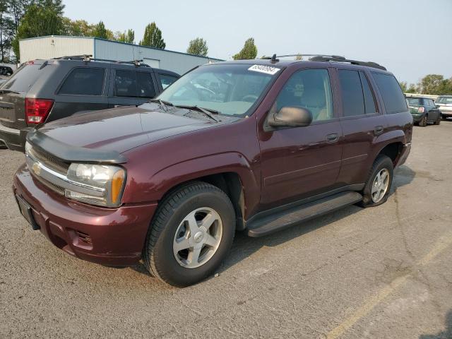 CHEVROLET TRAILBLAZE 2006 1gndt13s662171951