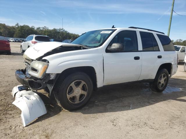 CHEVROLET TRAILBLZR 2006 1gndt13s662211882