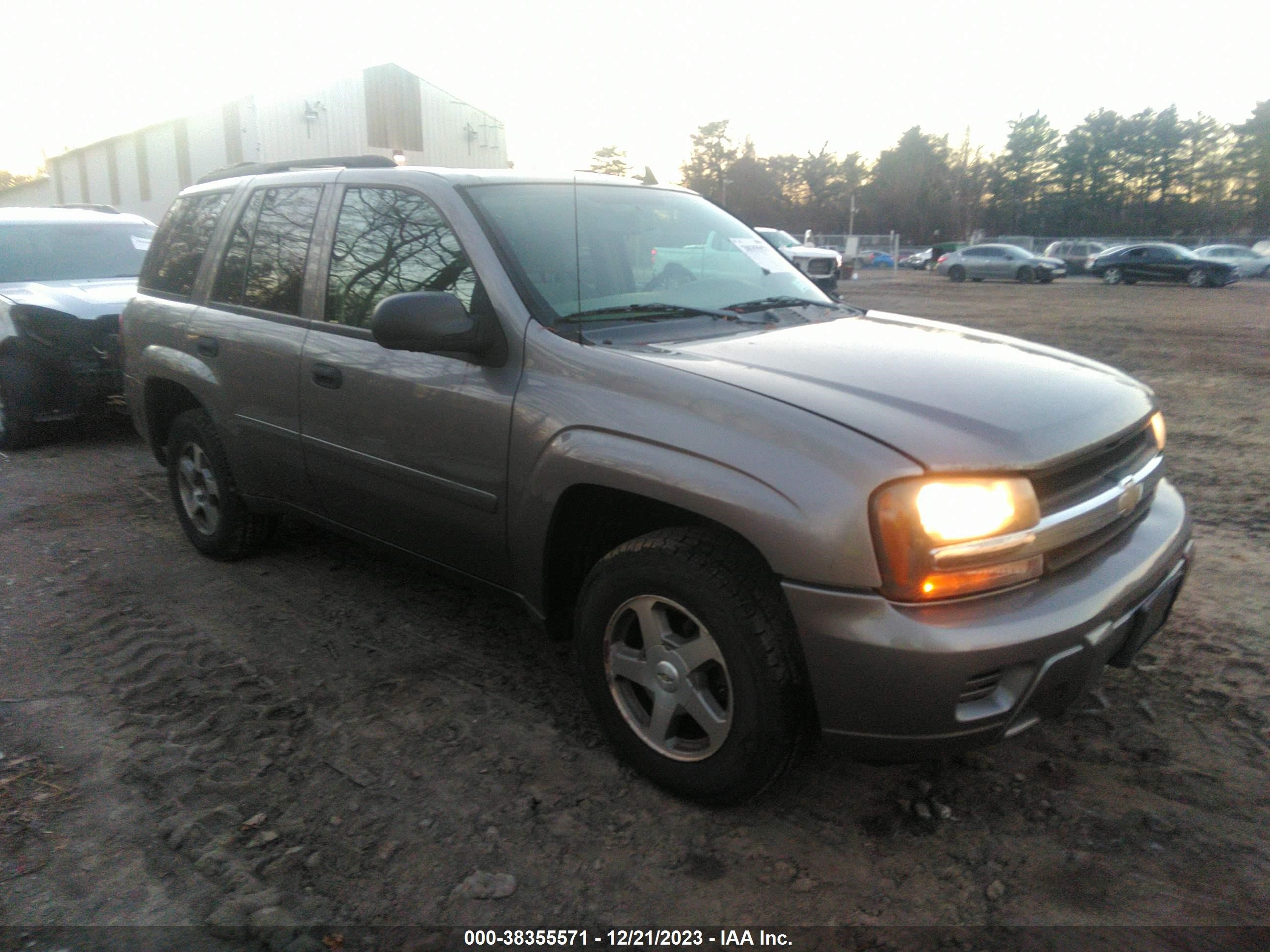 CHEVROLET TRAILBLAZER 2006 1gndt13s662213681