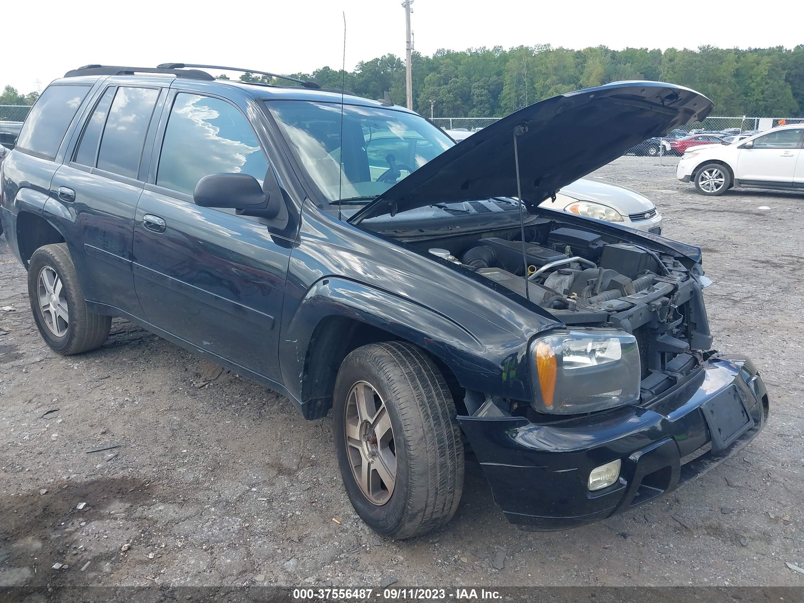 CHEVROLET TRAILBLAZER 2006 1gndt13s662235731